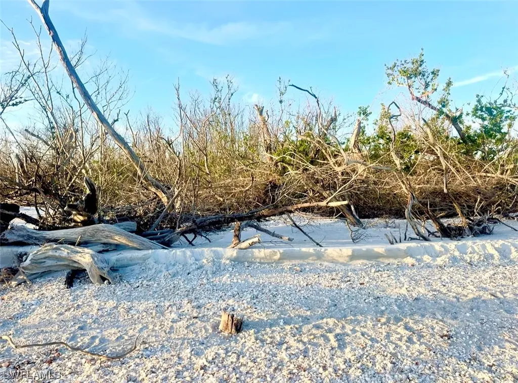 11321 Pejuan Shores Cayo Costa FL 33924