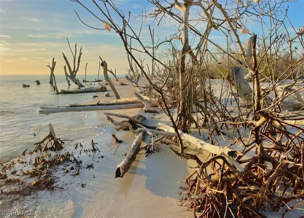 11321 Pejuan Shores Cayo Costa FL 33924