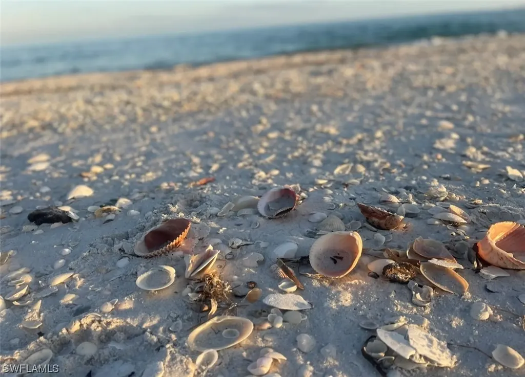 11321 Pejuan Shores Cayo Costa FL 33924