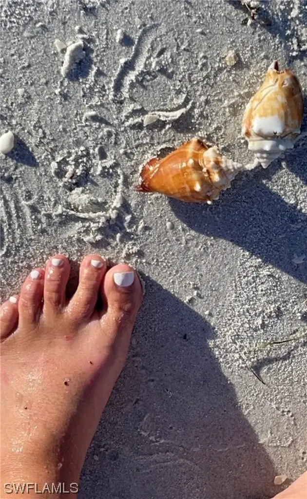 11321 Pejuan Shores Cayo Costa FL 33924