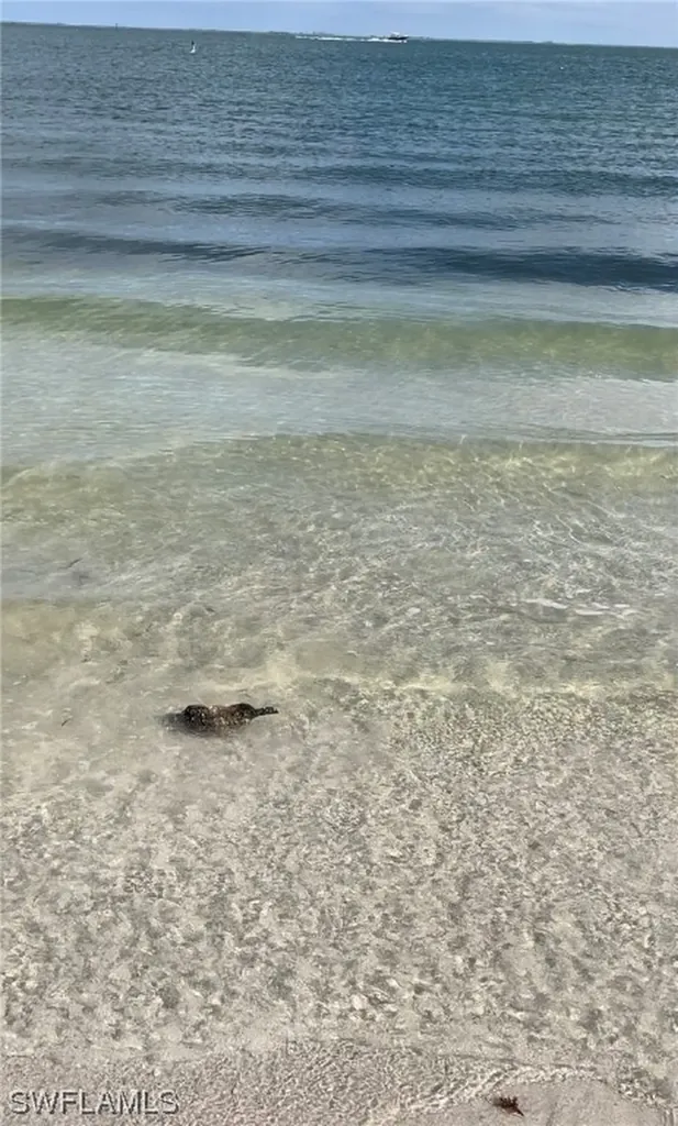 11321 Pejuan Shores Cayo Costa FL 33924