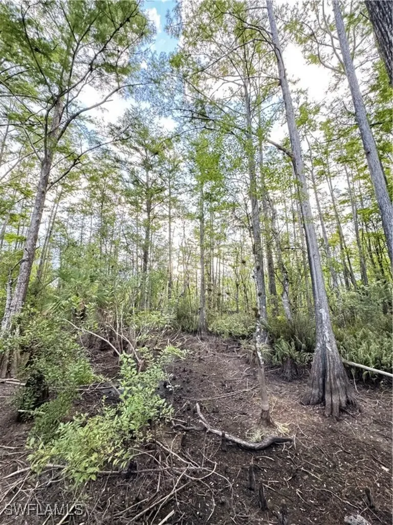 10581 Ben C Pratt/6 Mile Cypress Parkway Fort Myers FL 33966