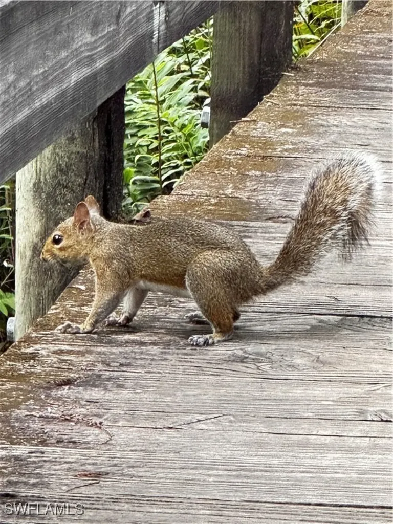 10581 Ben C Pratt/6 Mile Cypress Parkway Fort Myers FL 33966