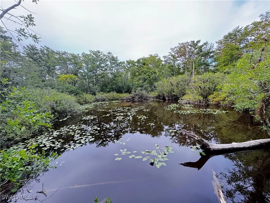 10581 Ben C Pratt/6 Mile Cypress Parkway Fort Myers FL 33966