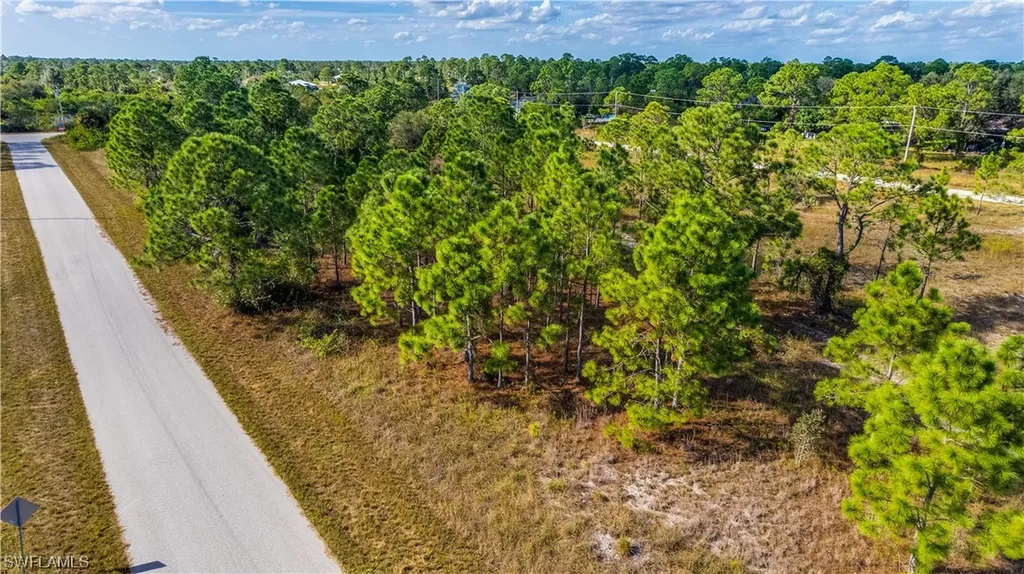 1117 Ectype Street E Lehigh Acres FL 33974