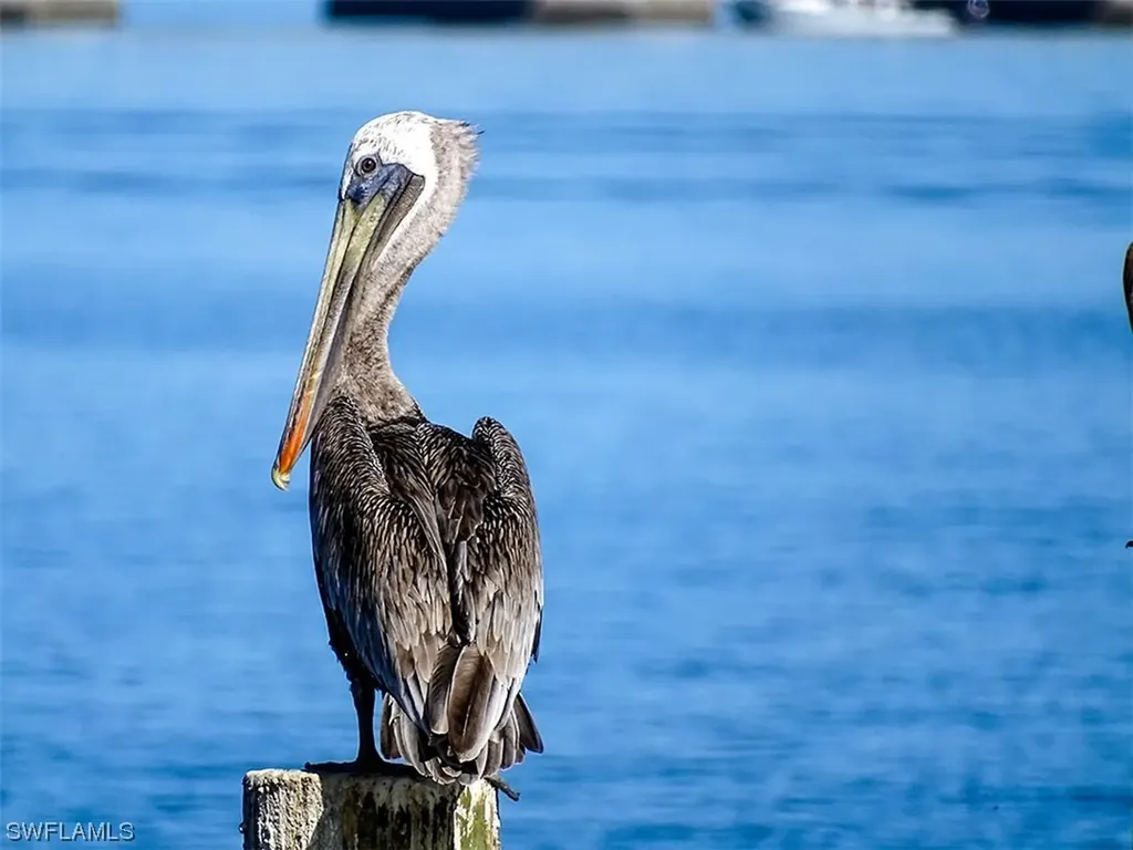 760 Sextant Drive Sanibel FL 33957