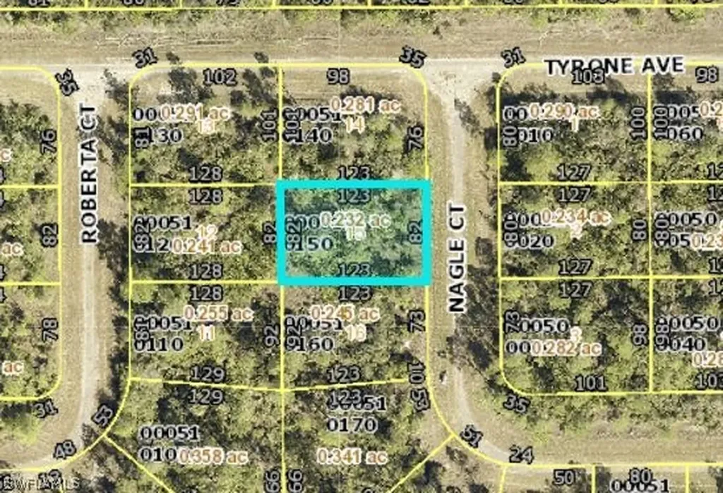 313 Nagle Court Lehigh Acres FL 33972