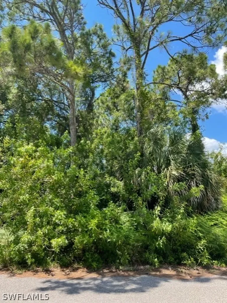 2023 NE 34th Street Cape Coral FL 33909