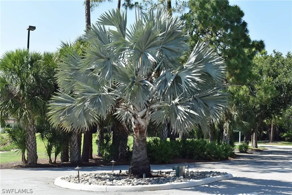 4145 Jace Court Estero FL 33928