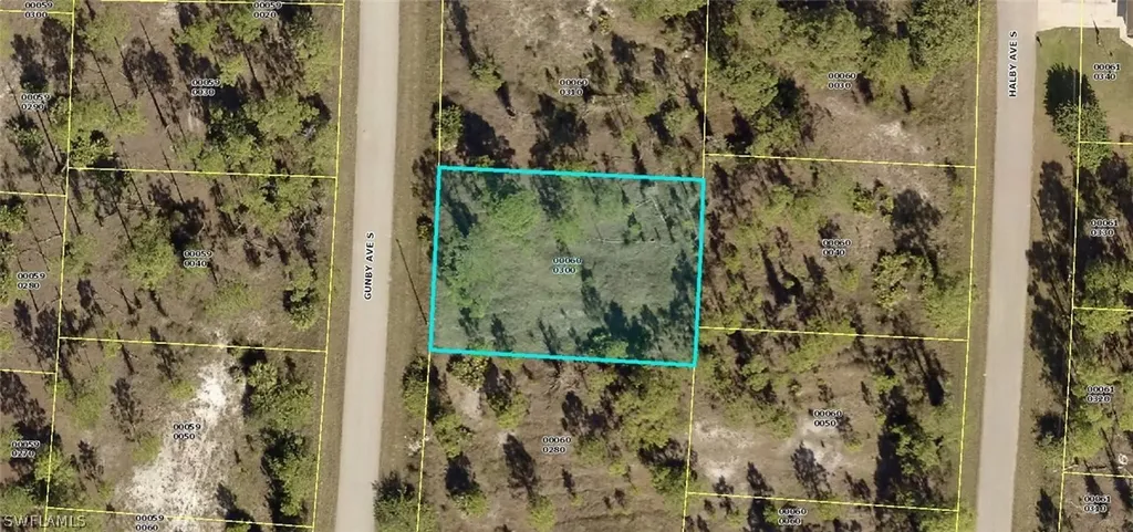 1063 Gunby Avenue S Lehigh Acres FL 33974