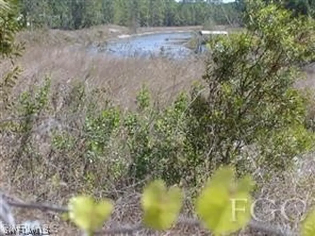 372 Clairidge Circle Lehigh Acres FL 33974