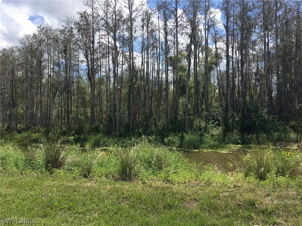5512 Agostino Way Ave Maria FL 34142