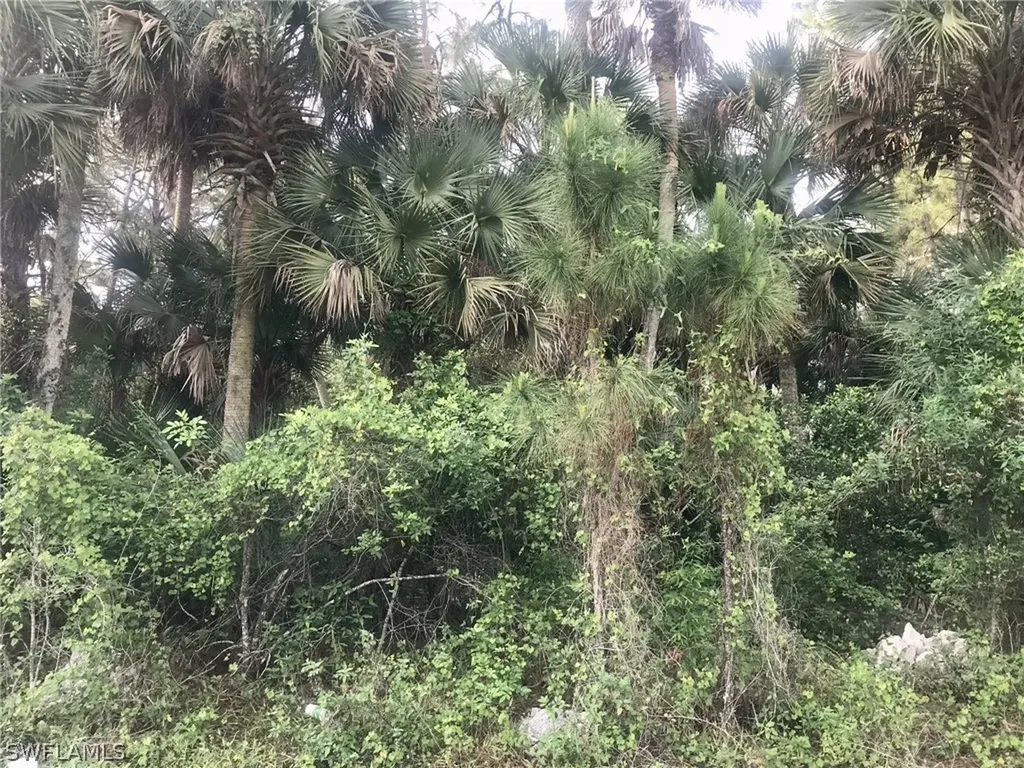 Fort Myers FL, 3751 Kilarney Street