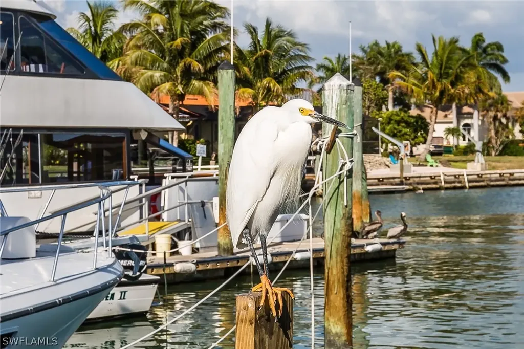 1330 Freeport Avenue Marco Island FL 34145