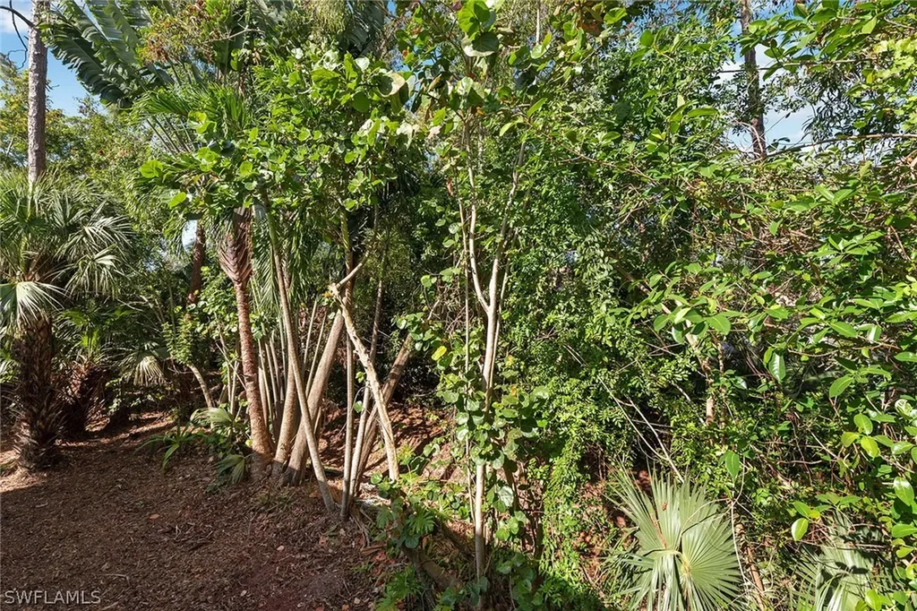 3633 Cottage Club Lane Naples FL 34105