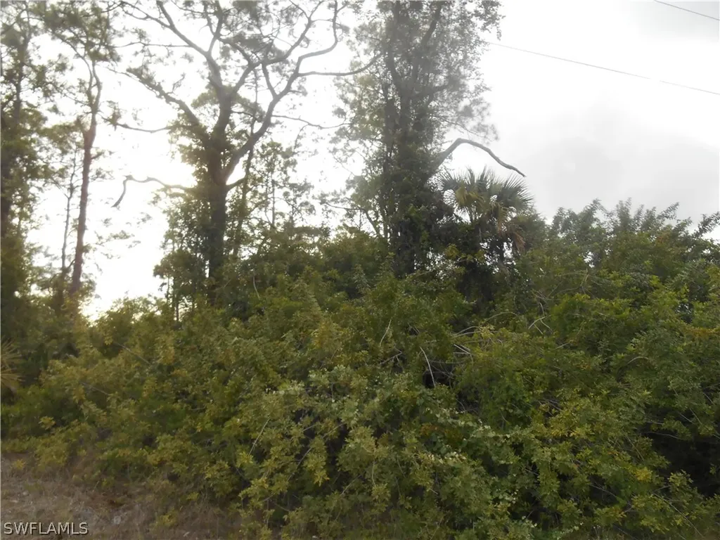 1515 Palmetto Avenue Lehigh Acres FL 33972