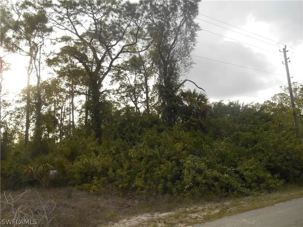 1515 Palmetto Avenue Lehigh Acres FL 33972