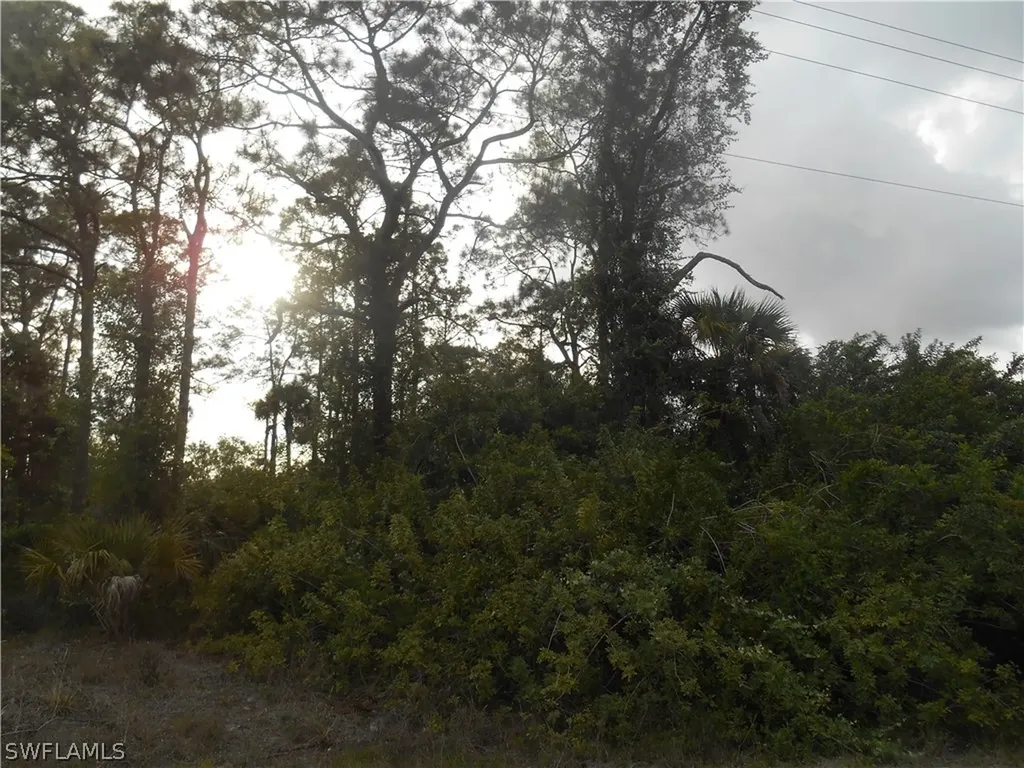 1515 Palmetto Avenue Lehigh Acres FL 33972