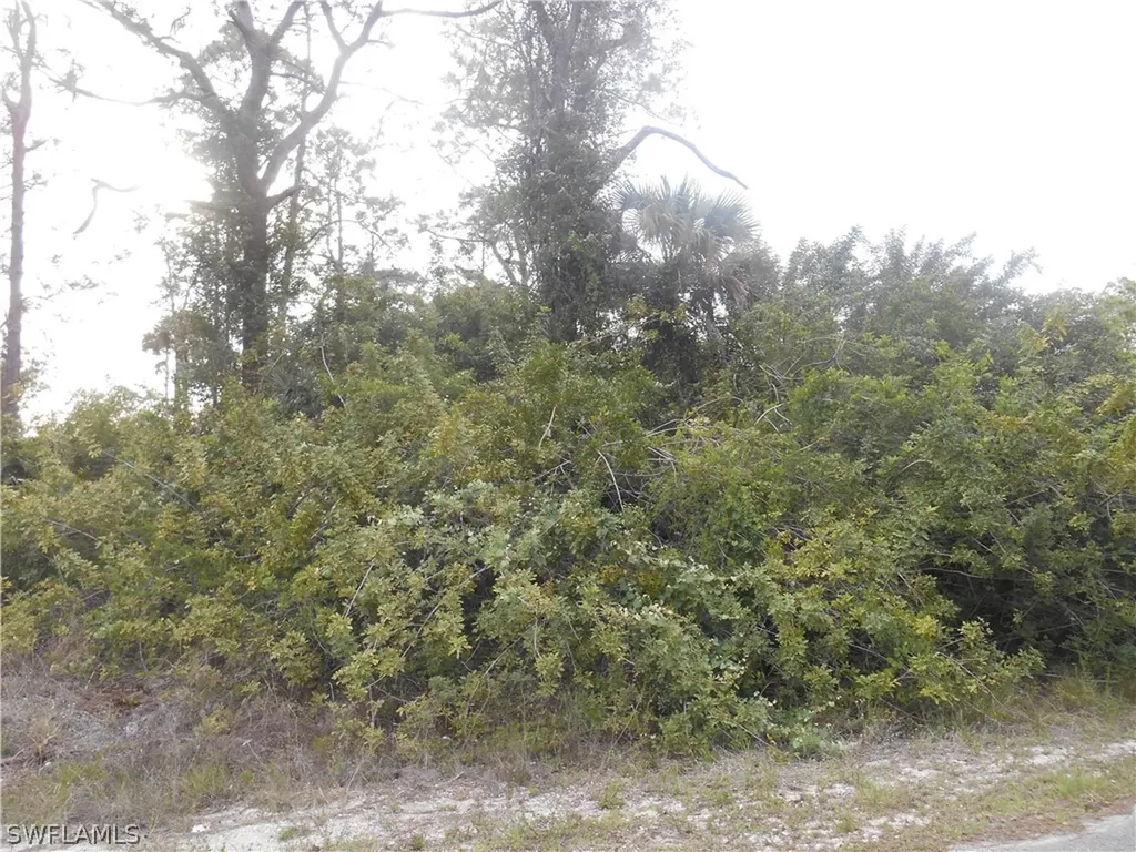 1515 Palmetto Avenue Lehigh Acres FL 33972