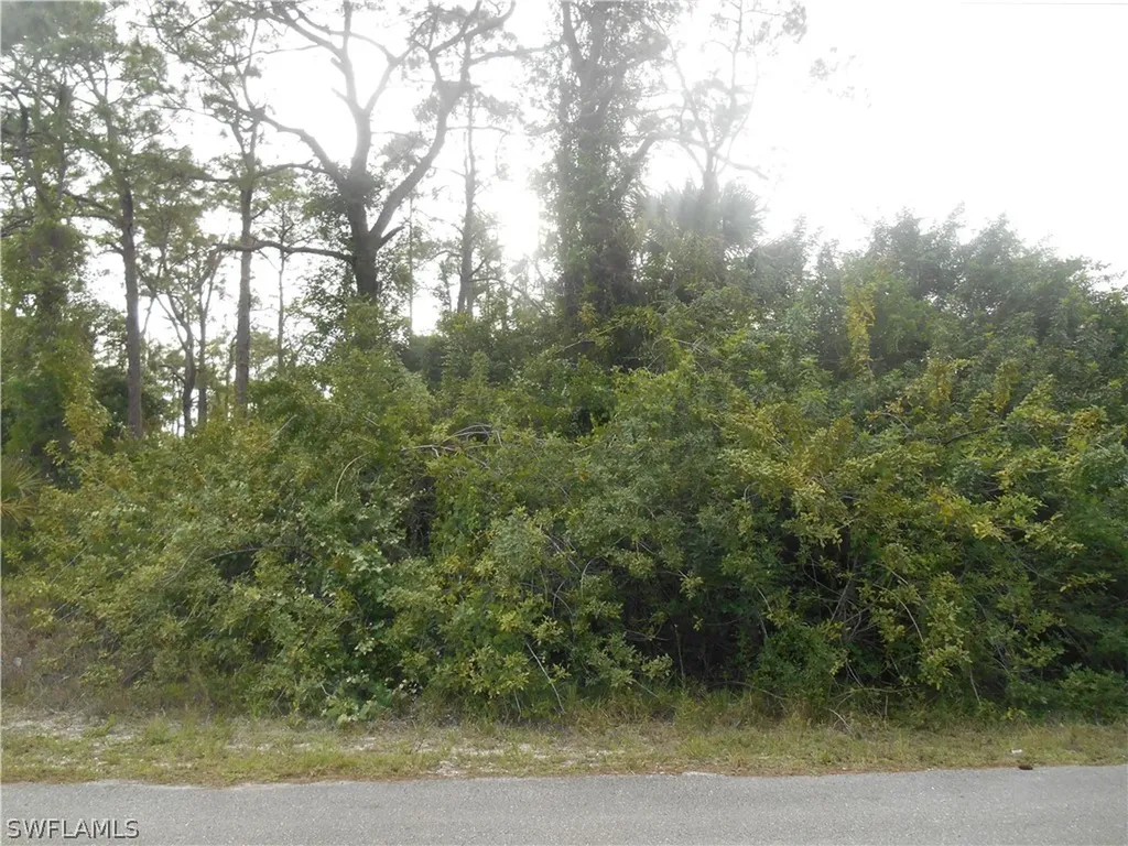 1515 Palmetto Avenue Lehigh Acres FL 33972