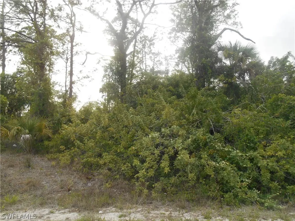 1515 Palmetto Avenue Lehigh Acres FL 33972