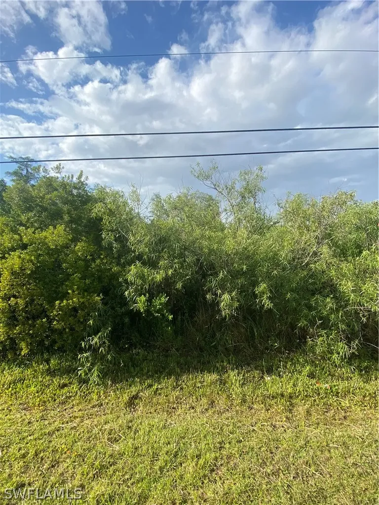 3894 Mango Street Pine Island Tropical Homesites FL 33956