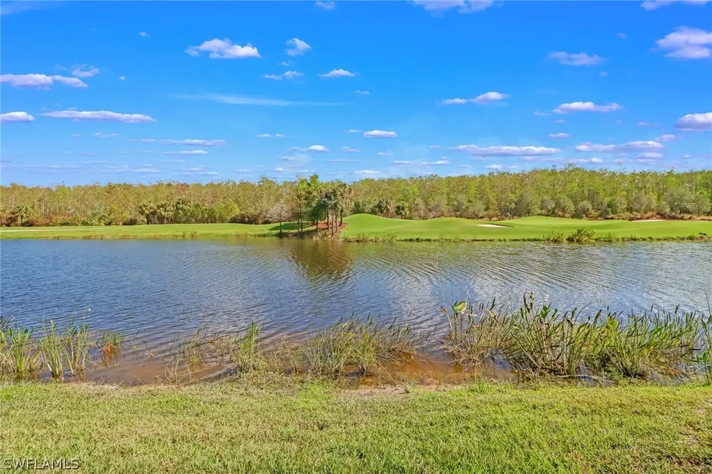 28631 Cavan Court Bonita Springs FL 34135