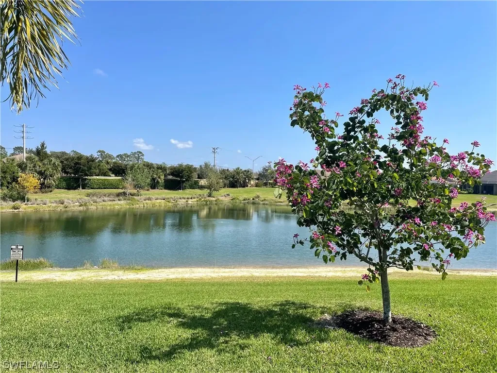 21289 Estero Palm Way Estero FL 33928