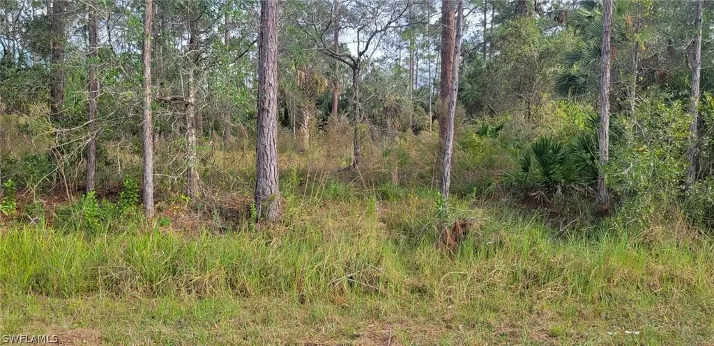 1952 Roderick Lane Lehigh Acres FL 33972