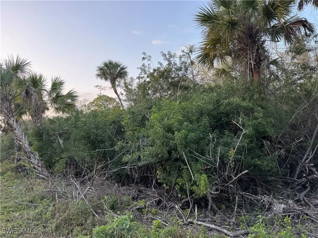 4187 36th Avenue SE Naples FL 34117