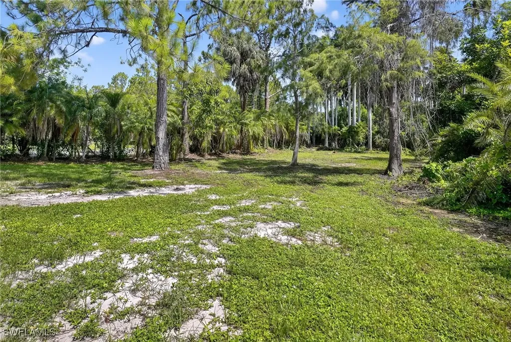 6035 Painted Leaf Lane Naples FL 34116