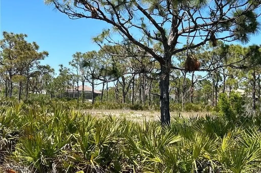 6117 Calusa Ridge Trail Bokeelia FL 33922