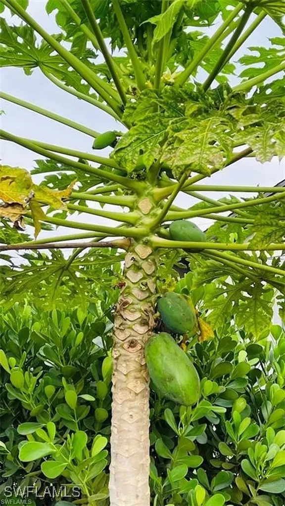 4 Palm Boulevard Lehigh Acres FL 33936