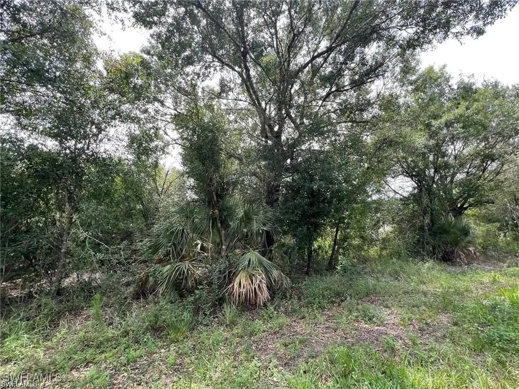 1316 Canton Avenue Lehigh Acres FL 33972