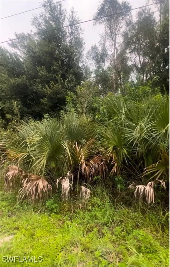 706 Delridge Avenue S Lehigh Acres FL 33974