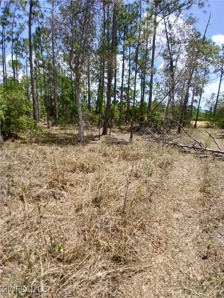 2142 Winnetka Drive Lehigh Acres FL 33972