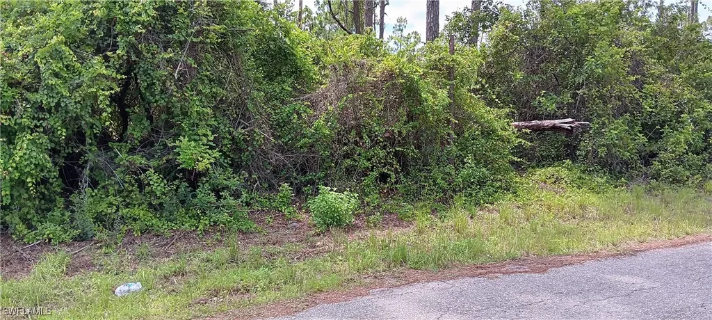 610 Wabasso Avenue S Lehigh Acres FL 33974