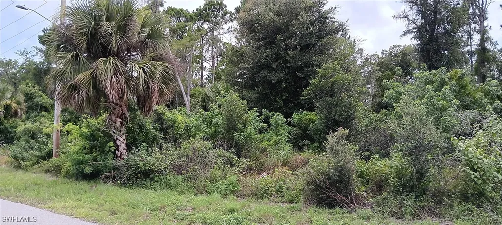 832 Anaconda Avenue S Lehigh Acres FL 33974