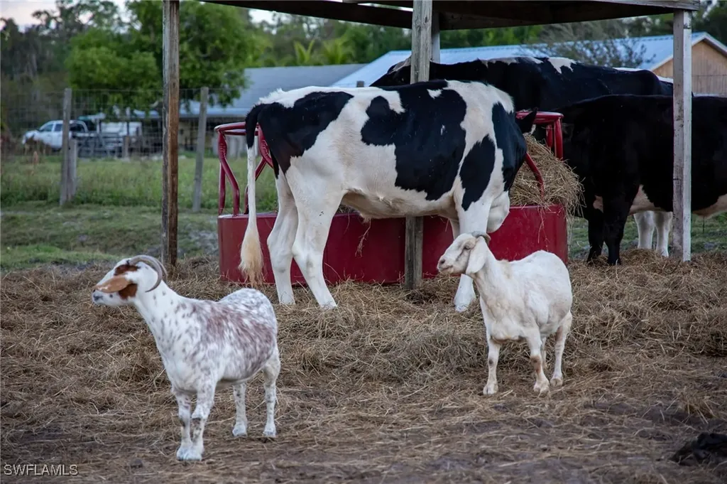 8500 Penzance Boulevard Fort Myers FL 33912