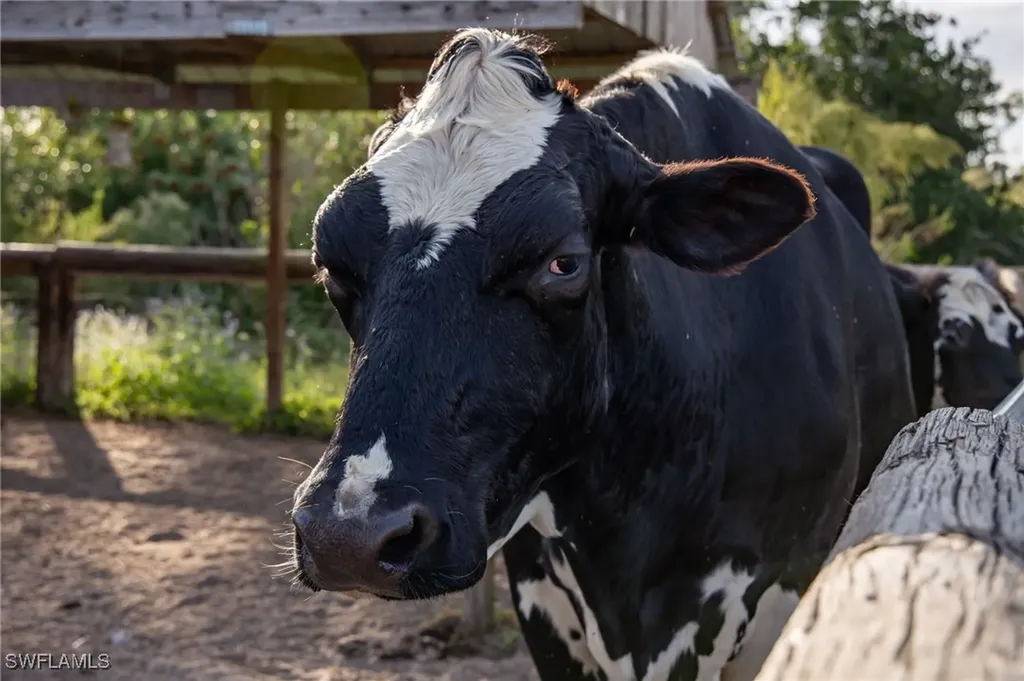 8500 Penzance Boulevard Fort Myers FL 33912