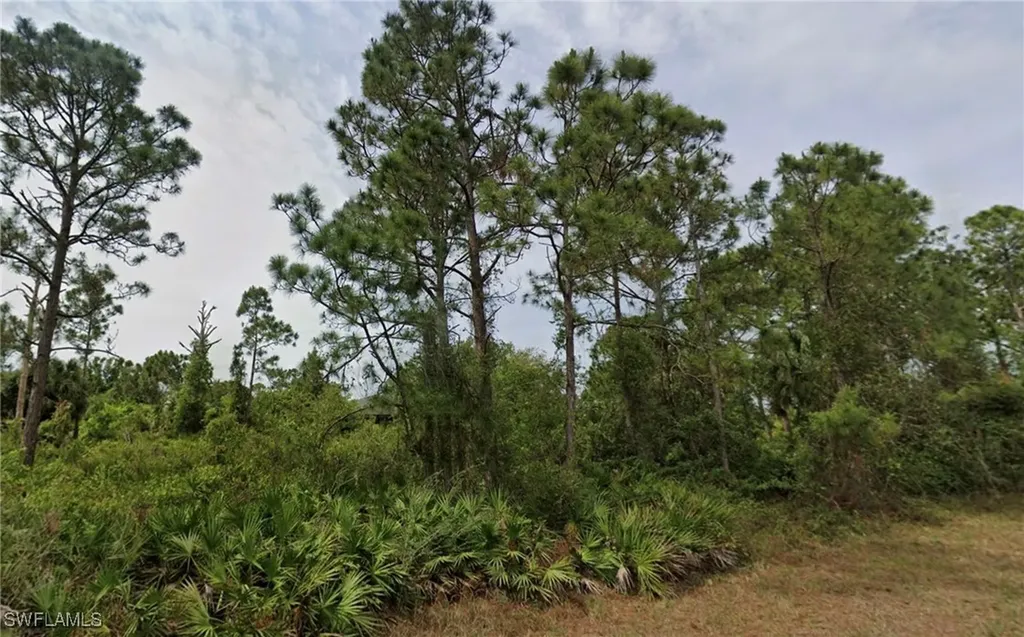 1114 Eclipse Street E Lehigh Acres FL 33974