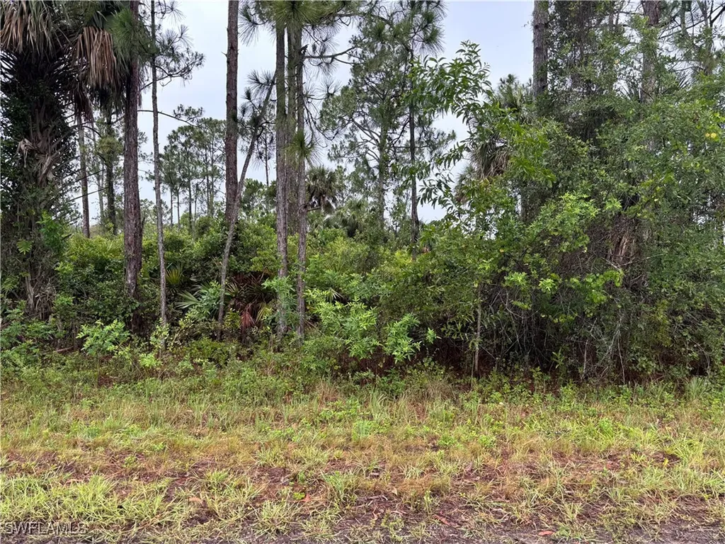 868 Audrey Street E Lehigh Acres FL 33974