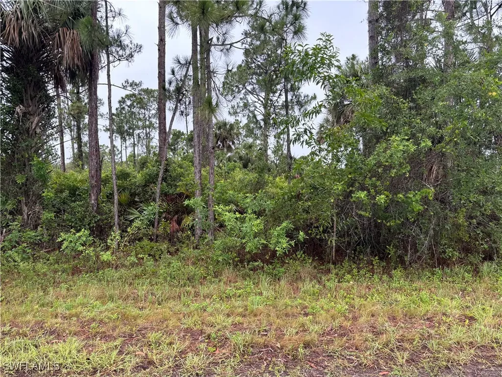 868 Audrey Street E Lehigh Acres FL 33974