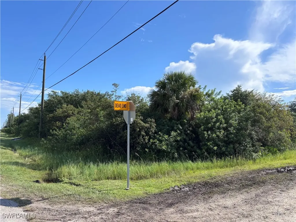 29TH Avenue NE Naples FL 34120