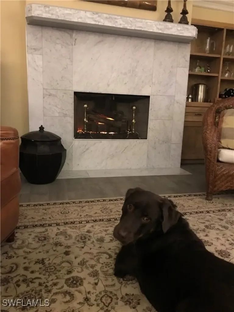 24760 Pennyroyal Drive Bonita Springs FL 34134