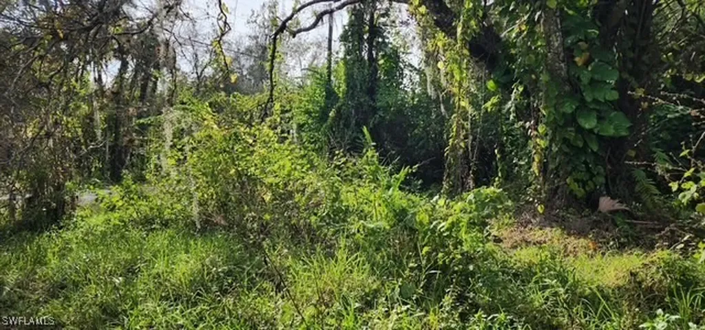 4910 N Miraham Drive Immokalee FL 34142