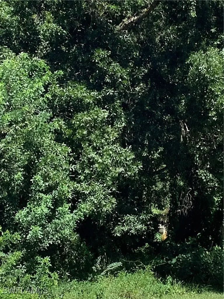 4910 N Miraham Drive Immokalee FL 34142