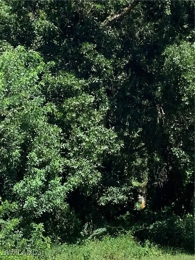 4910 N Miraham Drive Immokalee FL 34142