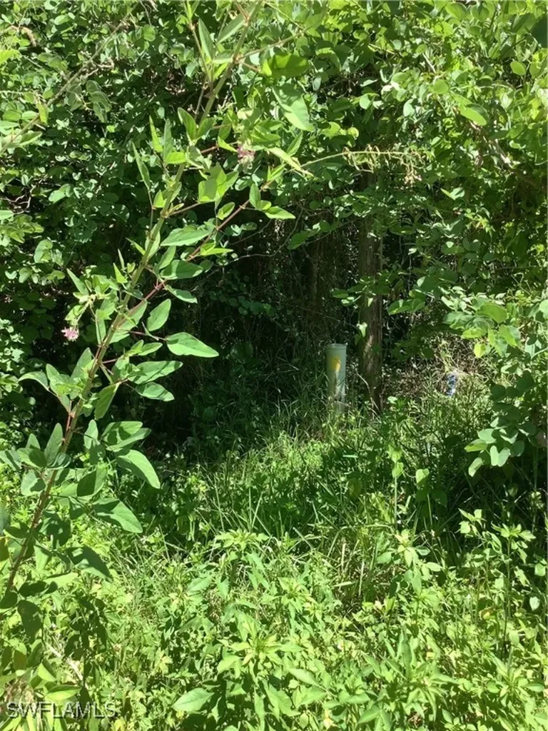 4910 N Miraham Drive Immokalee FL 34142