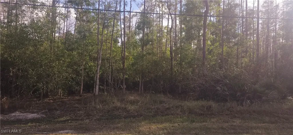 Pid 40745960009 2nd Avenue NE Naples FL 34120